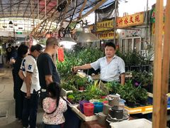 -万商花鸟市场