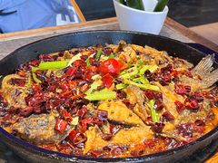 -老板恋上鱼(恒隆广场店)