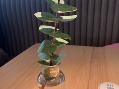 -gaga(深圳福田星河COCO Park店)