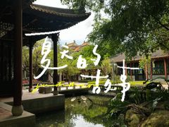-顺峰山公园