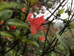 -1点点(东门电玩城店)