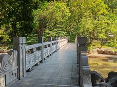 -深圳国际园林花卉博览园