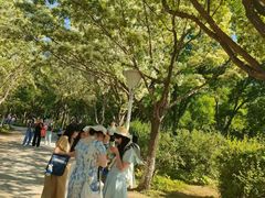-泰丰公园