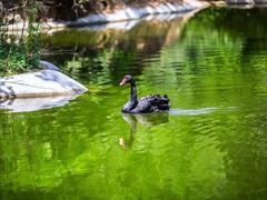 -雪山彩虹谷景区