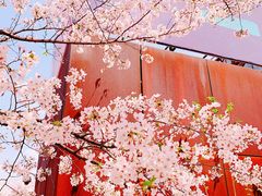 -龙美术馆(西岸馆)