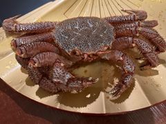 -蟹田居·活蟹料理(东城店)