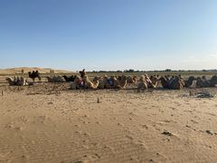 -亿利库布其七星湖沙漠生态旅游区