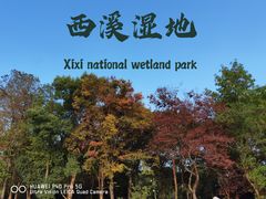 -西溪国家湿地公园