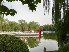 -丰台花园