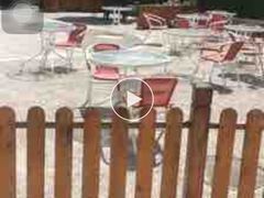 -北京园博大酒店