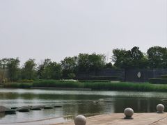 -南通滨江洲际酒店-东厨中餐厅