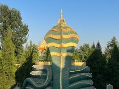 -洛阳白马寺