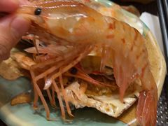 -酒久自助料理(佳兆业店)