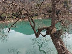 -树山生态村