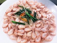 -天福苑(崇宁路店)