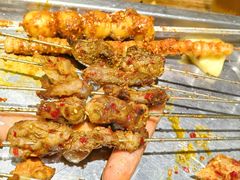 -福苗小骆驼烧烤(莲湖路店)
