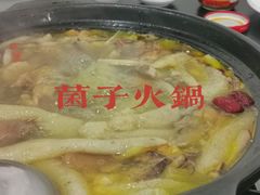-江川野生菌火锅铜锅鱼(贵清火锅店)