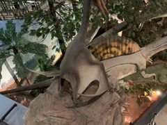 -湖南省地质博物馆