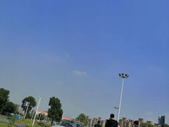 -楚汉驾校(群星城岳家嘴东亭校区)