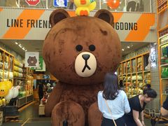 -line friends(明洞旗舰店)