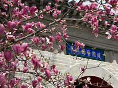 -红螺寺