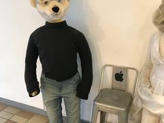 -济州岛泰迪熊博物馆