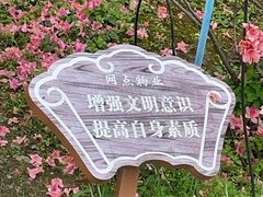 -老门东历史文化街区