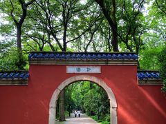 -灵谷景区