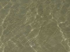 -西涌国际滨海旅游区