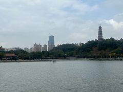 -顺峰山公园