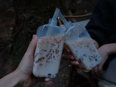 -武陵山森林公园