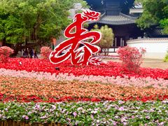 -荔湾湖公园