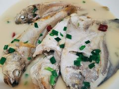 时鲜杂鱼-杨记海鲜楼