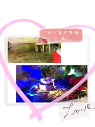 -恐龙探索乐园(磁器口店)