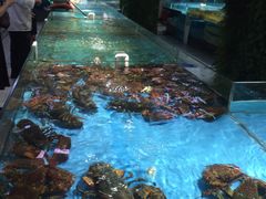 -宝燕海鲜(好爱店)