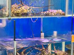 -好彩海鲜火锅饭店(银河百老汇店)