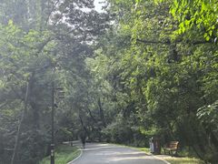 -北陵公园