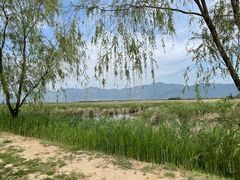 -野鸭湖国家湿地公园