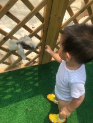 点击看大图 -萌宠亲子动物乐园(槐房万达店)