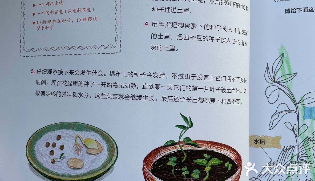 【从田间到餐桌，让孩子认知食物：我的自然观察游戏书】 