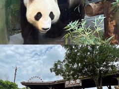 -上海野生动物园