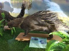 -下渚湖国家湿地公园科普馆