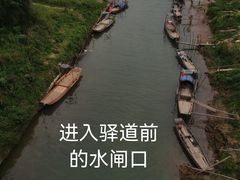 -羚羊峡古栈道森林公园