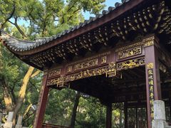 -汇龙潭