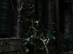 -墨池公园