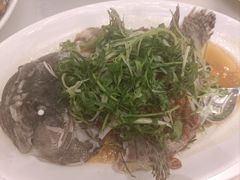 -海港酒家(上水新丰店)