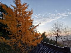 -九华山聚龙大酒店