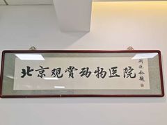 -北京观赏动物医院·24小时大型综合·猫专科·异宠专科