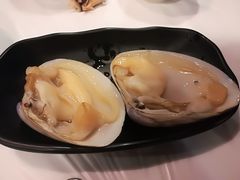 桂妃蚌-鲜入围煮花胶鸡海鲜火锅