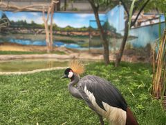 -成都动物园